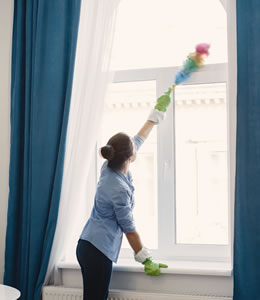 Window Cleaning